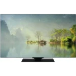 TV OLED PANASONIC TV-65Z80AEZ-65 pouces (164cm)