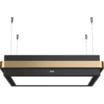 Hotte décorative îlot FRANKE 463231