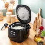 Cuiseur riz TEFAL RK6012F1 Cuiseur à Riz FUZZI